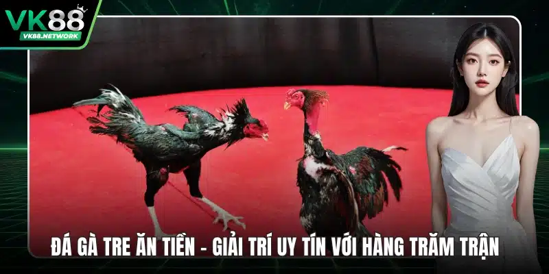 Đá Gà Uy Tín - Sân Chơi Chọi Kê Đẳng Cấp, Kịch Tính - mexon.fun