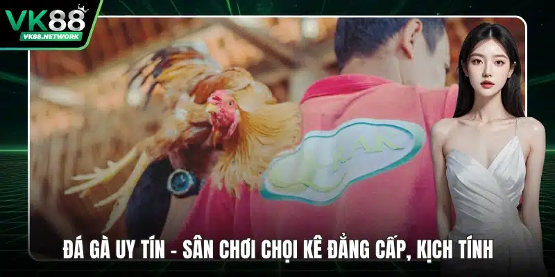 Đá Gà Uy Tín - Sân Chơi Chọi Kê Đẳng Cấp, Kịch Tính - mexon.fun