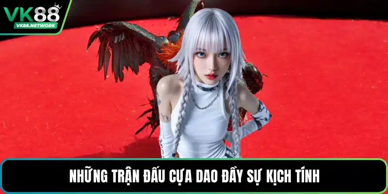 Đá Gà Uy Tín - Sân Chơi Chọi Kê Đẳng Cấp, Kịch Tính - mexon.fun