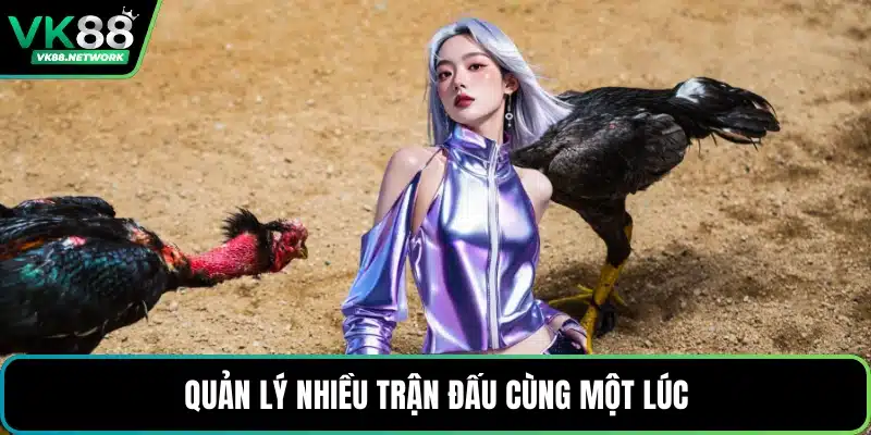 Đá Gà VK88 - Sảnh Cược Cuốn Hút, Đa Dạng Trận Nảy Lửa - mexon.fun