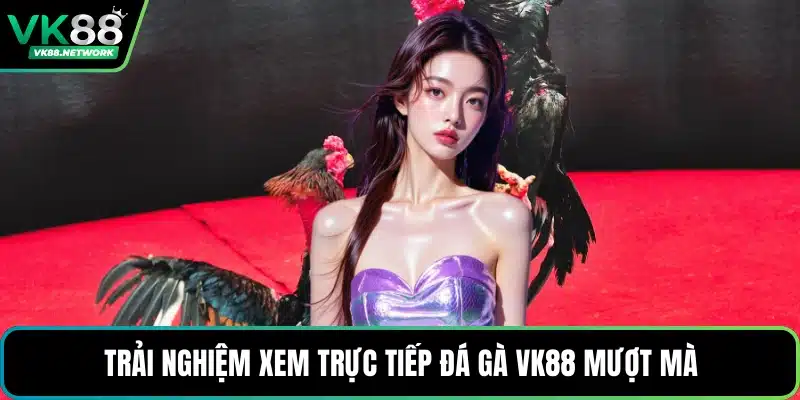 Đá Gà VK88 - Sảnh Cược Cuốn Hút, Đa Dạng Trận Nảy Lửa - mexon.fun